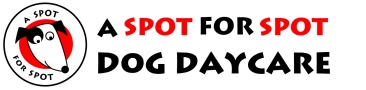 A Spot for Spot Dog Daycare